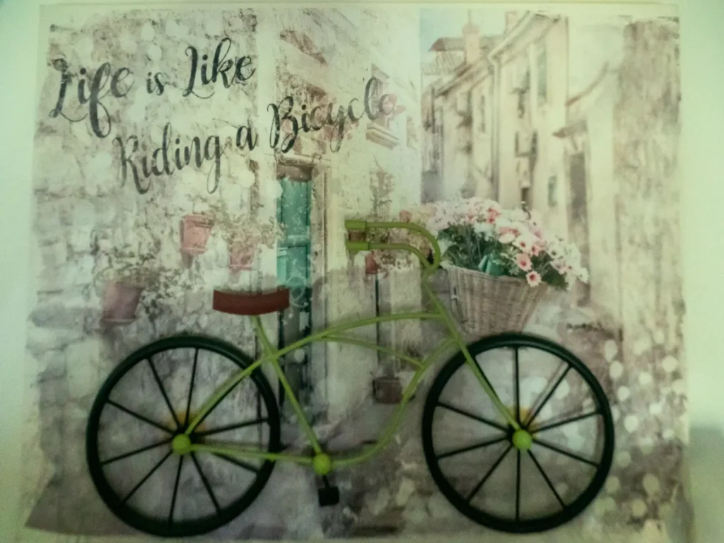Dipinto bici appoggiata al muro - il Giardino di Rebecca Ferrara